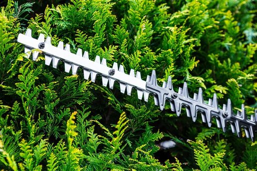 Motorna testera za živu ogradu – GRAPHITE 58G955