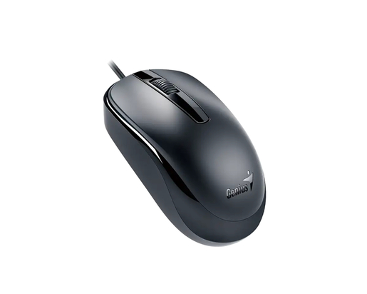 Miš GENIUS DX-120 USB-C Optical crni