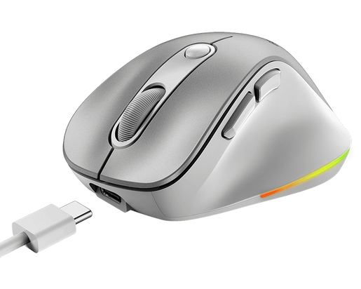 Miš GENIUS Ergo 9000S Pro Silver USB Bežični sivi