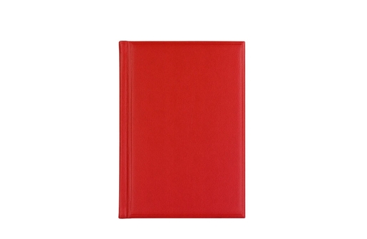 Lion rokovnik b5 129.204.20