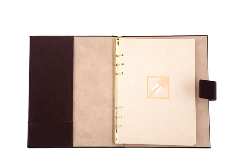 Novaskin agenda sa zlatnim mehanizmom a4 102.302.24