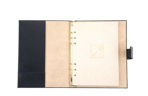 Novaskin agenda sa zlatnim mehanizmom a5 102.306.55