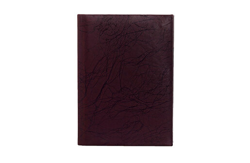 Special mix lux rokovnik b5 140.204.99