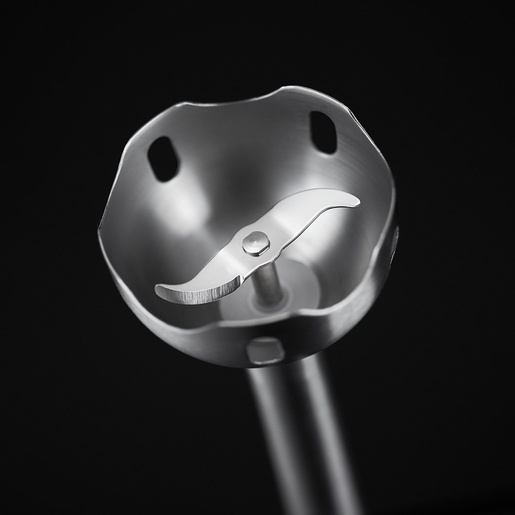 RUSSELL HOBBS mikser 24690-56 Desire