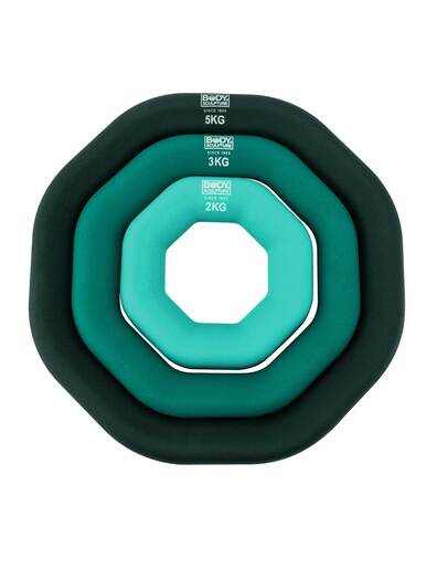 Body sculpture Set of rings with weights 10 kg