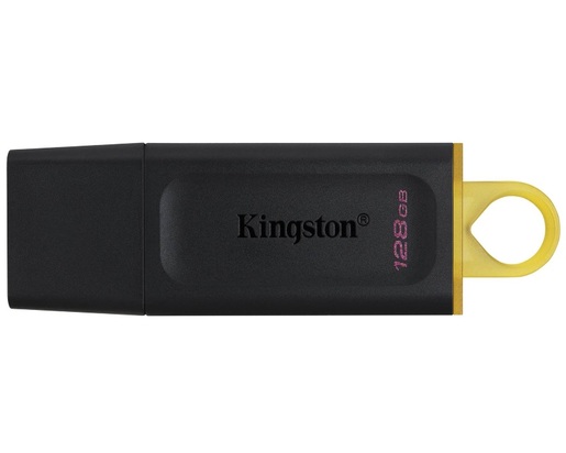 USB memorija Kingston 128GB DataTraveler Exodia (DTX/128GB)