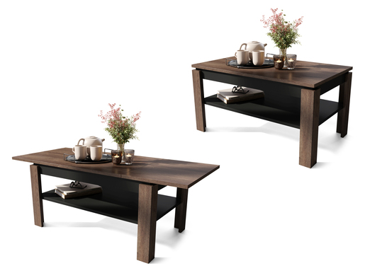 Asti R Sto Braon-Crni 1678