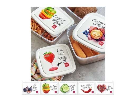 Premium Frigo box - pravougaoni 0.3+0.5L