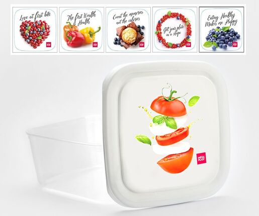 Premium Frigo box - četvrtasti 3L