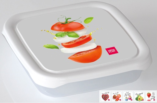 Premium Frigo box - četvrtasti 0.5L