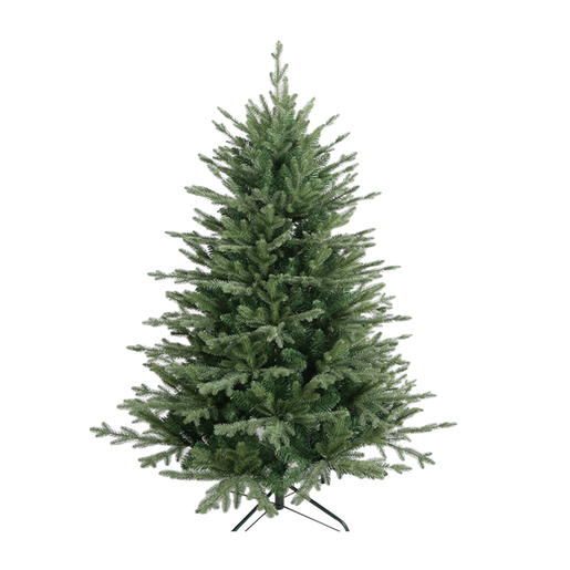 Jelka Stara planina 240cm 250307