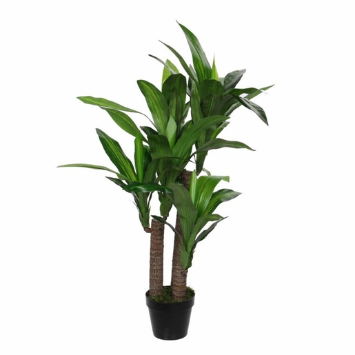 Dekordom Drvo u saksiji dracaena 150cm 1102068 - edl