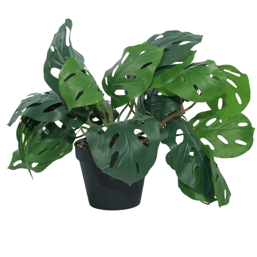Dekordom Cvet u saksiji - monstera zd-bybg19(a)-pgj5 - 32cm - n55