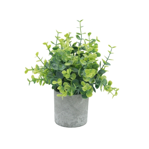 Dekordom Cvet u saksiji ds513 - n13