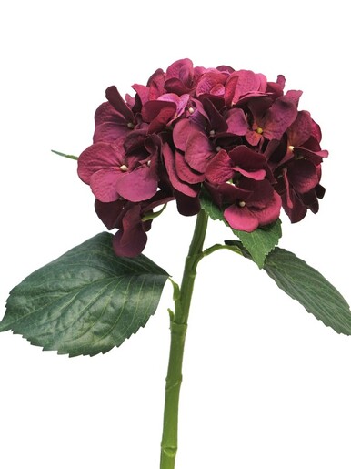 Dekordom Cvet hydrangea 48cm 12275-6 - bordeaux - nnt