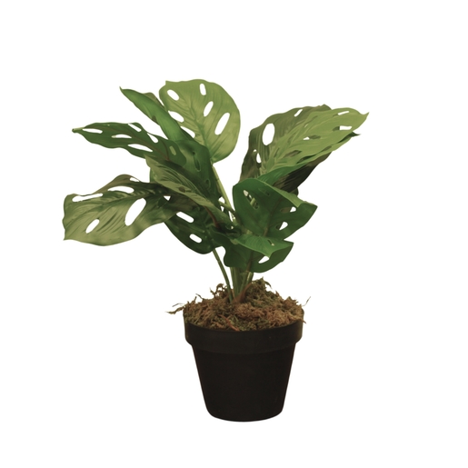 Dekordom Cvet u saksiji - monstera calathea zd-241325 - 36cm - n55