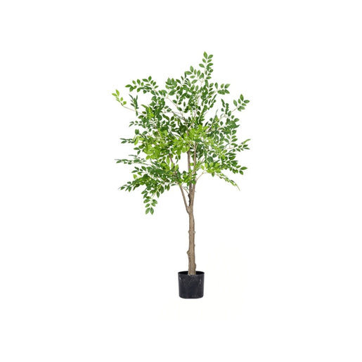Dekordom Drvo - money tree 150cm - n60