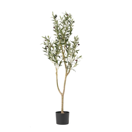 Dekordom Drvo olive 120cm - n61