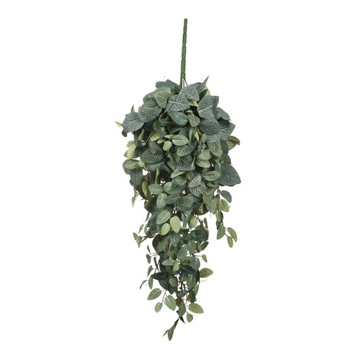 Dekordom Cvet pilea 70cm 953440 - green - edl