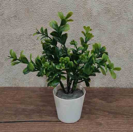 Dekordom Cvet u saksiji - succulent 0038-38a - n38