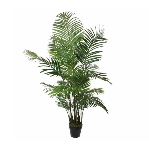 Dekordom Drvo u saksiji areca palm 160cm 1026427 - edl