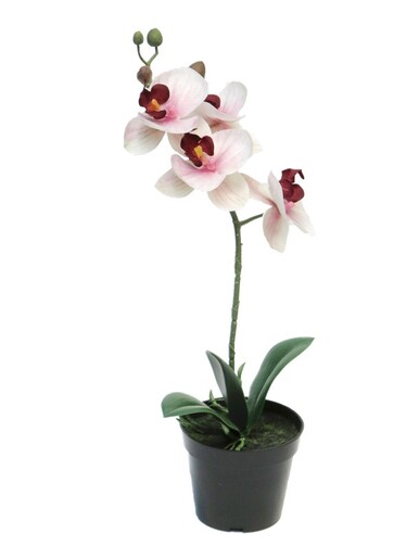 Dekordom Cvet u saksiji orchid 35cm 51345-7 - pink - nnt