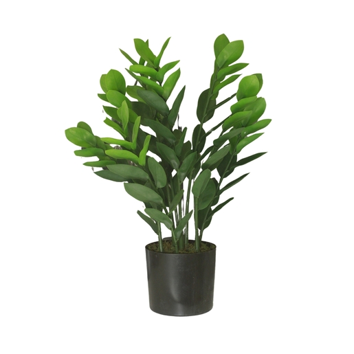 Dekordom Cvet u saksiji - money grass 9pcs - n60