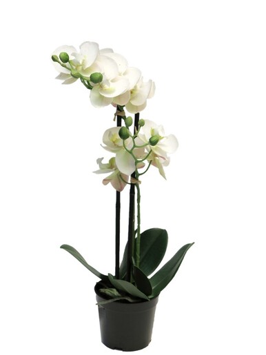 Dekordom Cvet u saksiji orchid 50cm 51344-0 - white - nnt