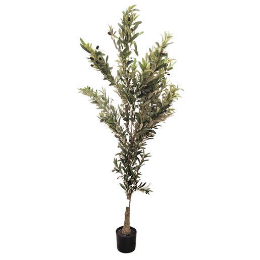 Dekordom Drvo olive 180cm - n61