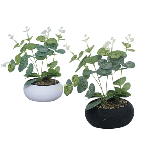 Dekordom Cvet u saksiji florens - n58