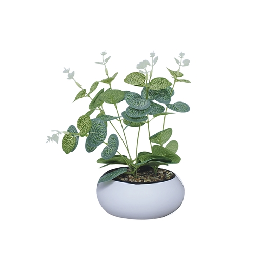 Dekordom Cvet u saksiji florens - n58