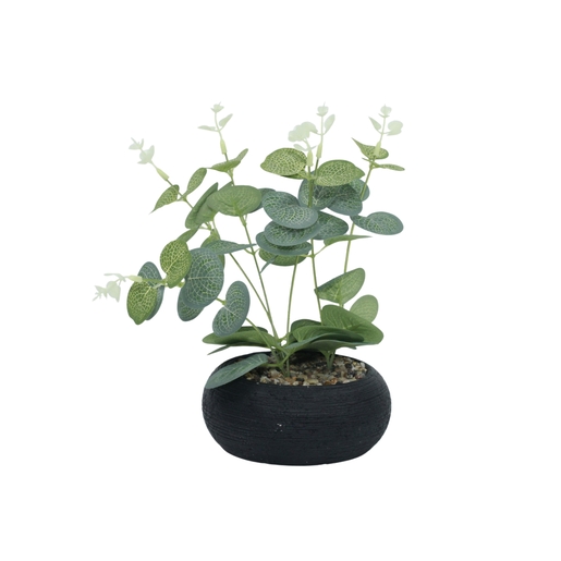 Dekordom Cvet u saksiji florens - n58