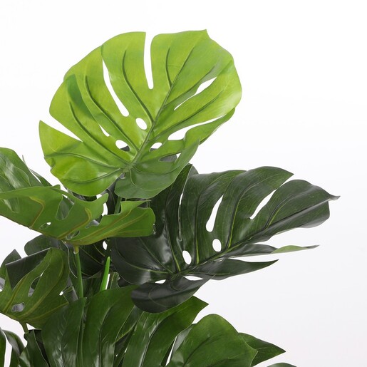 Dekordom Drvo monstera 100cm 1026437 - edl