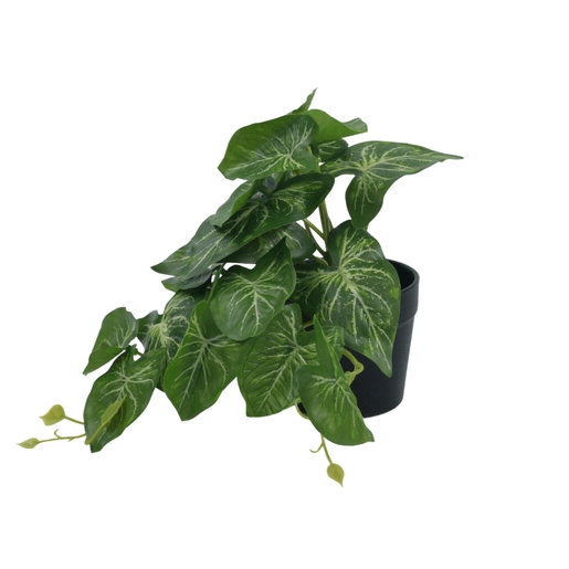 Dekordom Cvet u saksiji mons jw-a9-38 - n13