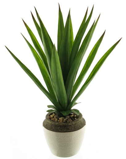 Dekordom Cvet u saksiji aloe 46cm 51929-1 - green - nnt