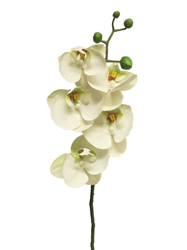 Dekordom Cvet orchid 58cm 13015-0 - white - nnt