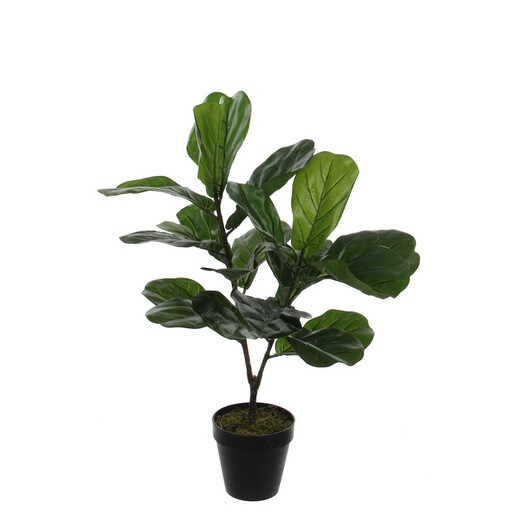 Dekordom Cvet u saksiji ficus lyrata 75cm 1040426 - green - edl
