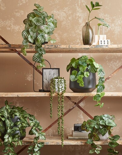 Dekordom Cvet syngonium 54cm 1074947 - green - edl