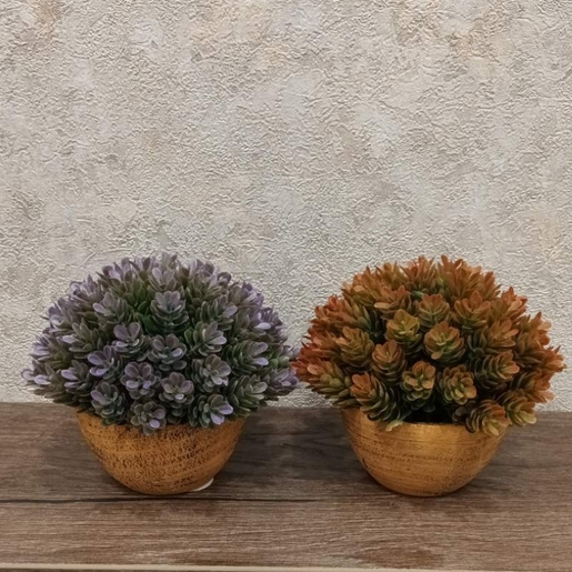 Dekordom Cvet u saksiji - succulent hx0461 - n38