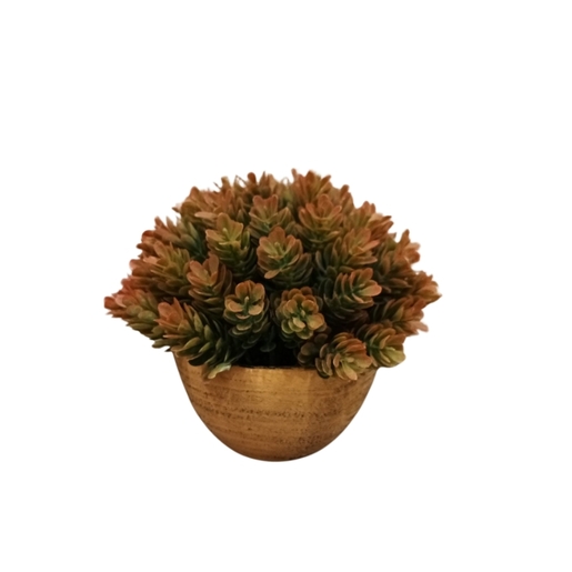 Dekordom Cvet u saksiji - succulent hx0461 - n38