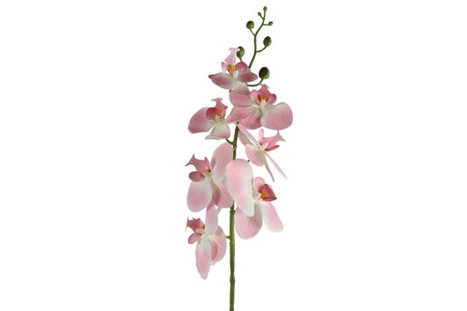 Dekordom Cvet orchid 83cm 796074 - pink - dcs