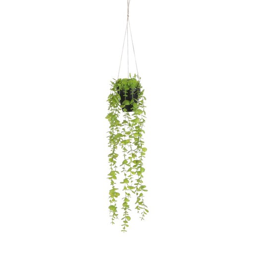 Dekordom Cvet u saksiji eucalyptus 54cm 1083464 - green - edl
