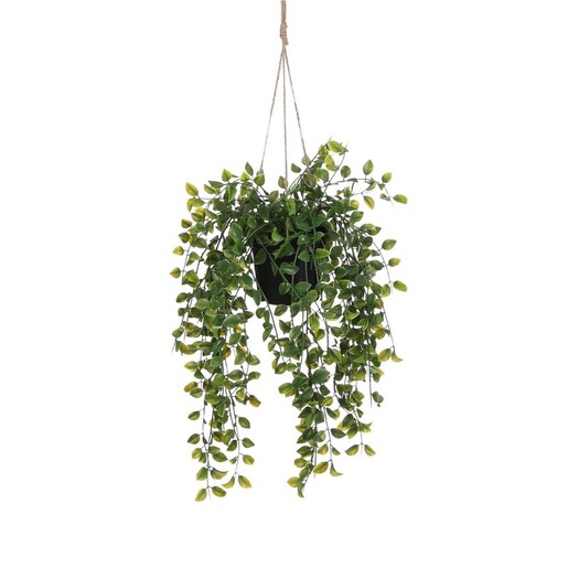 Dekordom Cvet u saksiji ficus 46cm 1097781 - green - edl