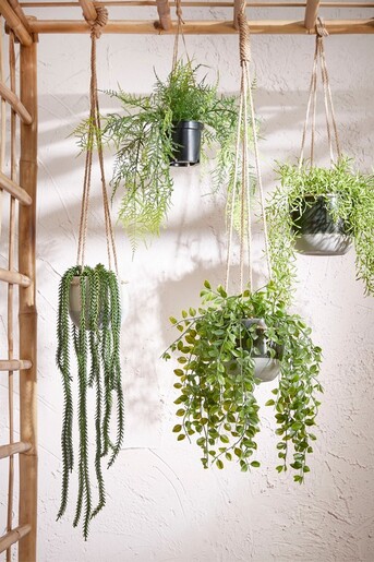 Dekordom Cvet u saksiji ficus 46cm 1097781 - green - edl