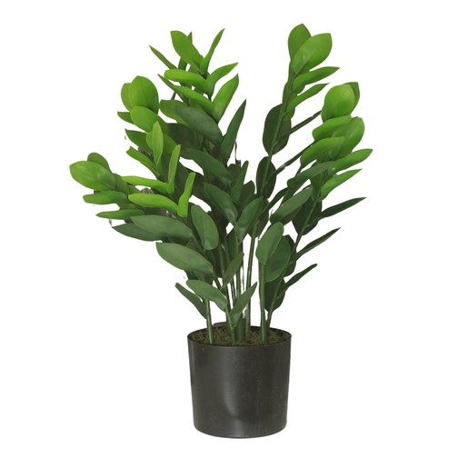 Dekordom Cvet u saksiji - money grass 7pcs - n60