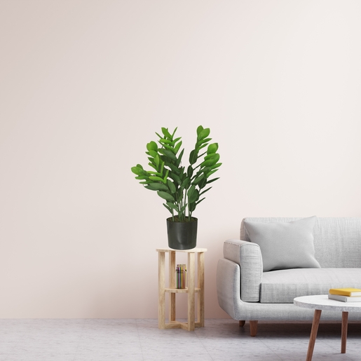 Dekordom Cvet u saksiji - money grass 7pcs - n60