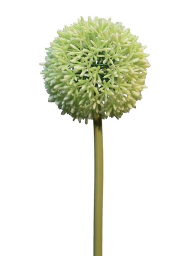 Dekordom Cvet allium 68cm 11649-0 - green - nnt