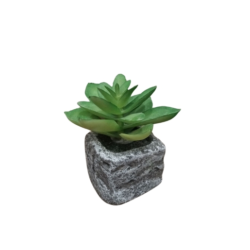 Dekordom Cvet u saksiji - succulent round 123 - n44