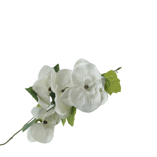 Dekordom Cvet orchid sprig - n59