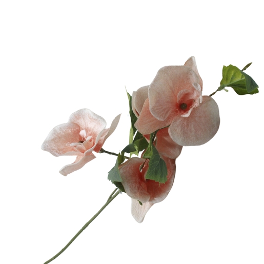Dekordom Cvet orchid sprig - n59